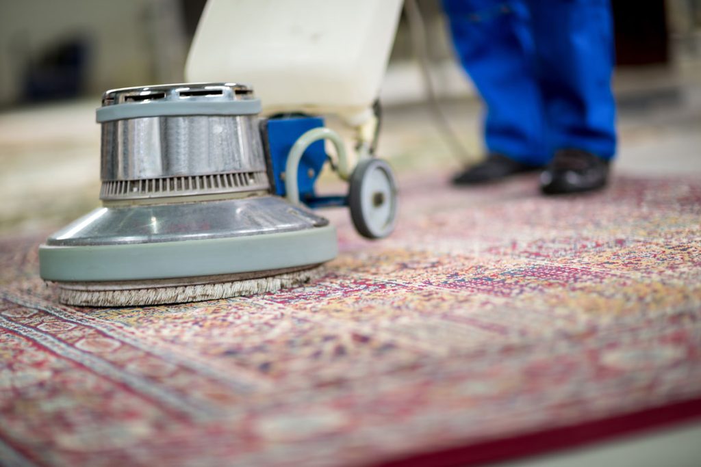 Carpet Cleaning Brisbane