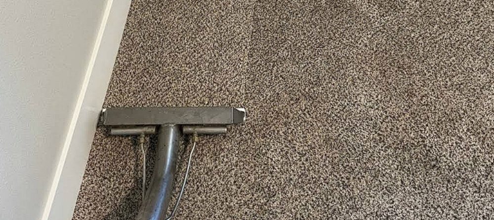 How Often Should You Clean Your Area Rugs?